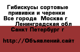 Гибискусы сортовые, прививки и черенки - Все города, Москва г.  »    . Ленинградская обл.,Санкт-Петербург г.